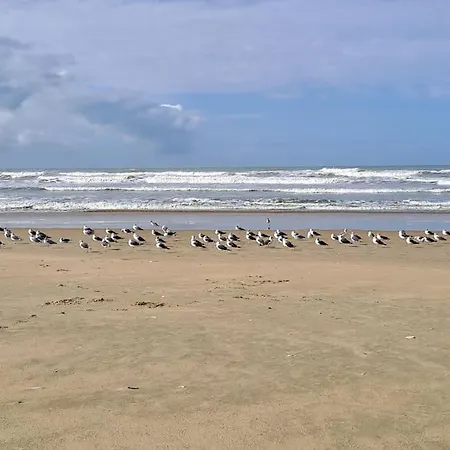 公寓 Trojan 圣特罗让莱班