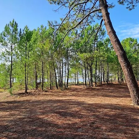 公寓 Trojan 圣特罗让莱班