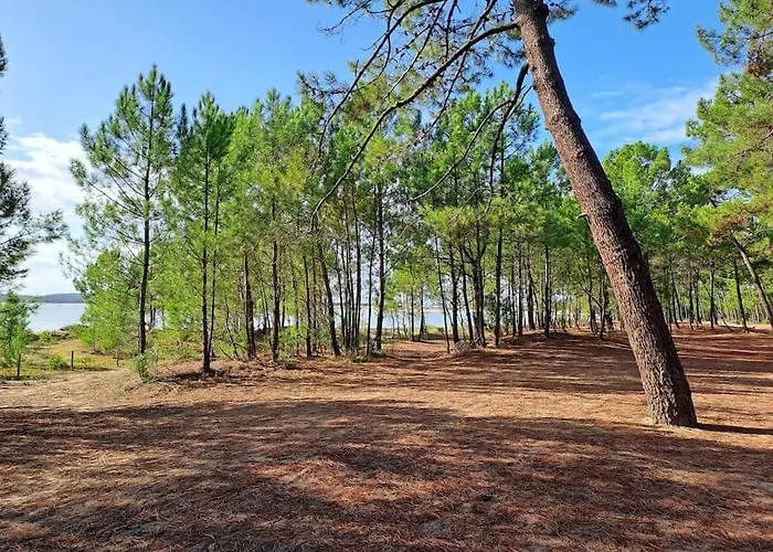 Apartment Trojan Saint-Trojan-les-Bains